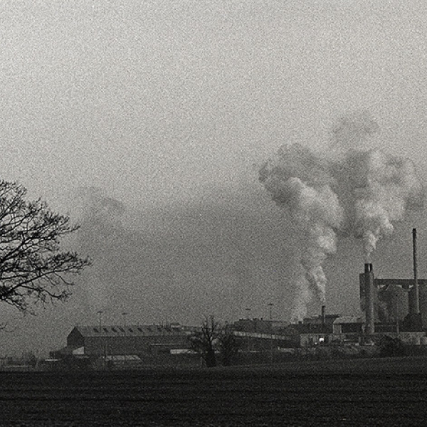 Sugar Beet Factory First Merit BIPP MR + GA BIPP 1999 v8